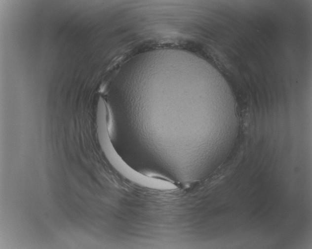 X0000080120916200612302006