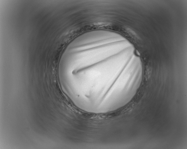 X0000080120917200612302006