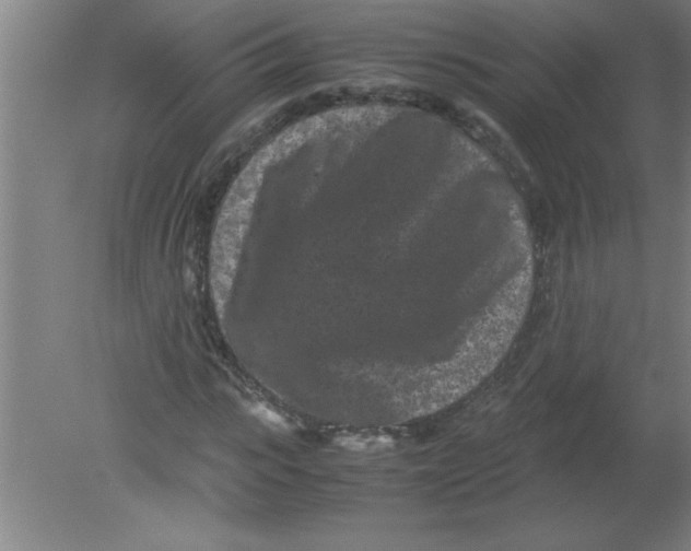 X0000080120919200612302006