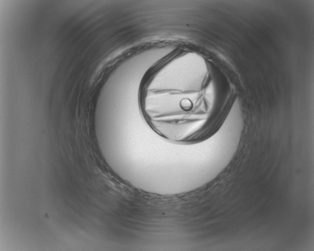 X0000080120920200612302006