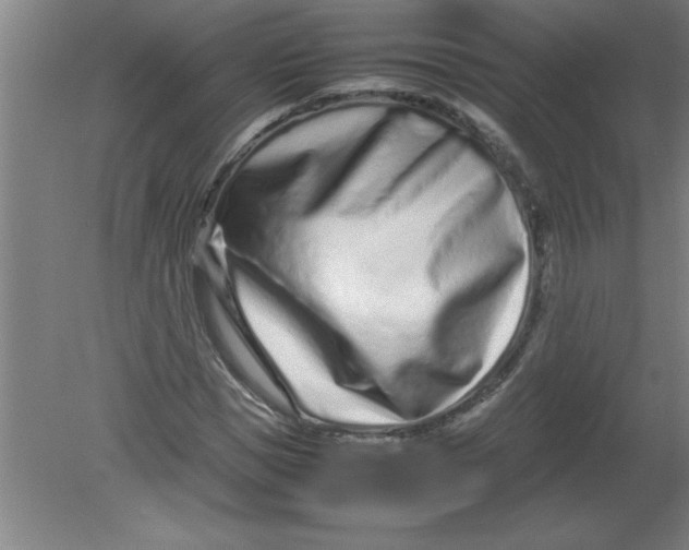 X0000080120921200612302006