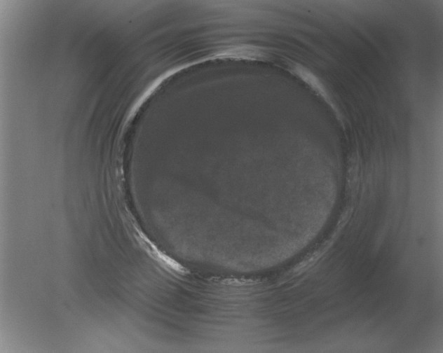 X0000080120923200612302006