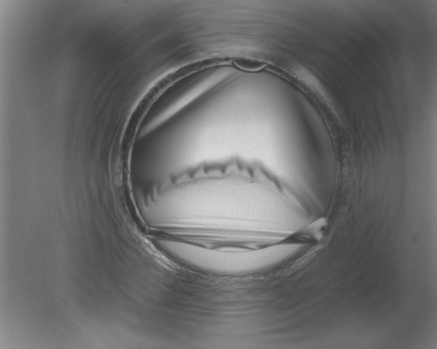 X0000080120924200612302006