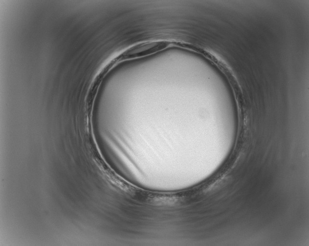 X0000080120925200612302006