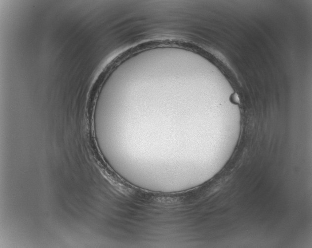 X0000080120927200612302006