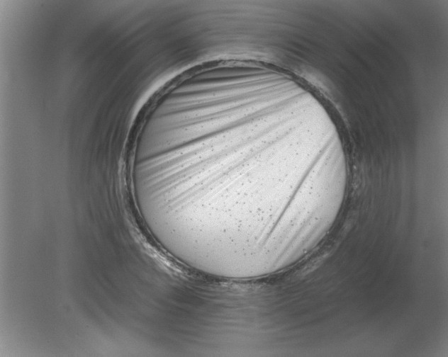 X0000080120928200612302006