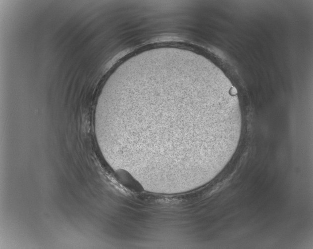 X0000080120929200612302006