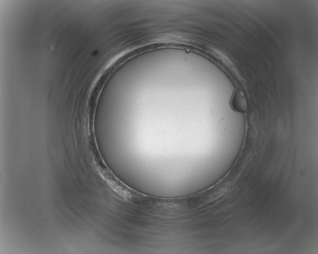 X0000080120931200612302006