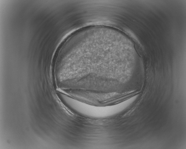 X0000080120932200612302006