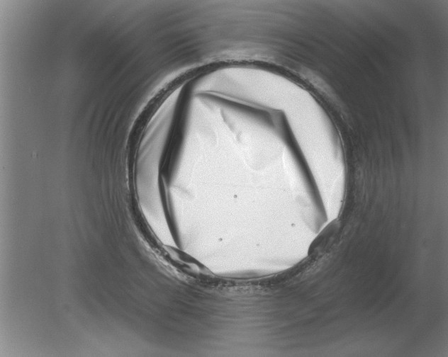 X0000080120934200612302006