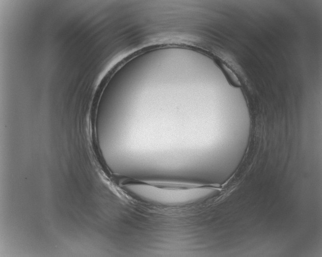 X0000080120936200612302006