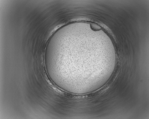 X0000080120937200612302006