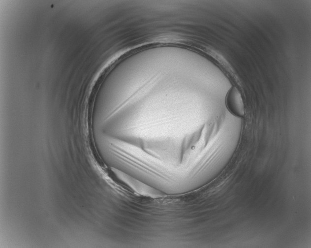 X0000080120939200612302006