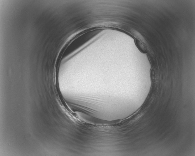 X0000080120940200612302006