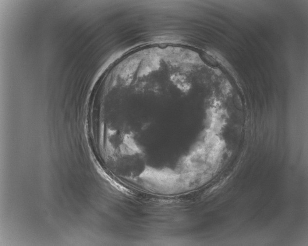 X0000080120941200612302006