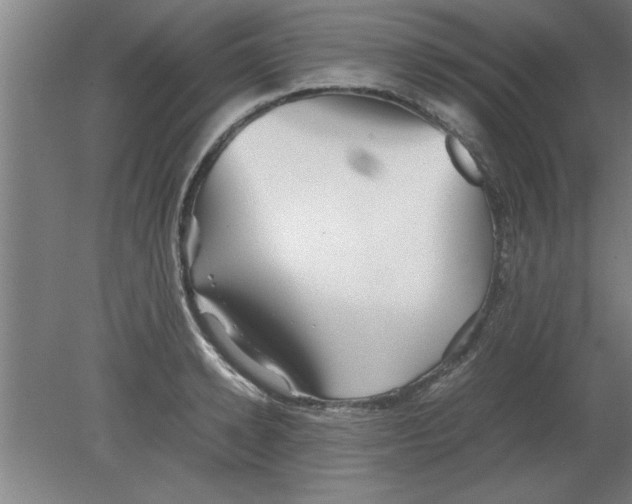 X0000080120942200612302006