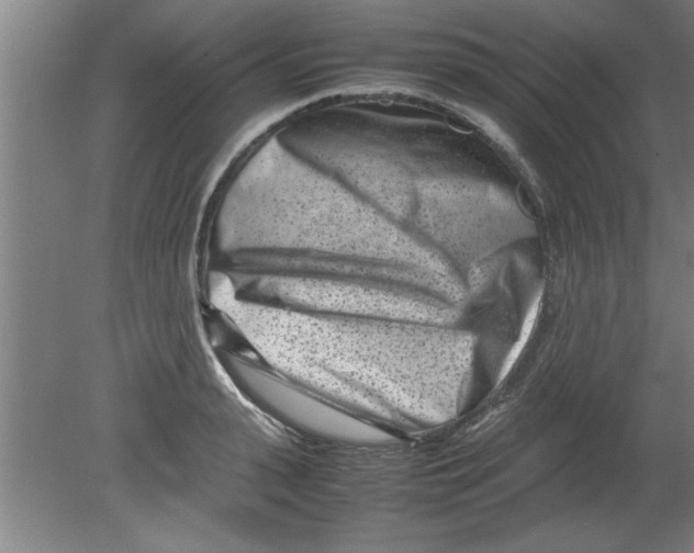 X0000080120943200612302007