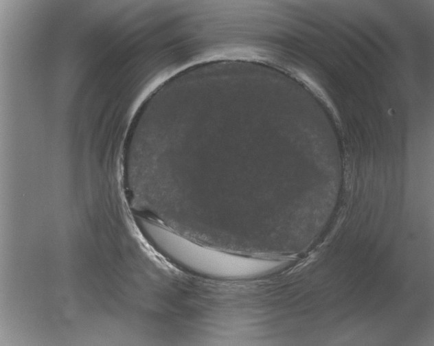 X0000080120944200612302007