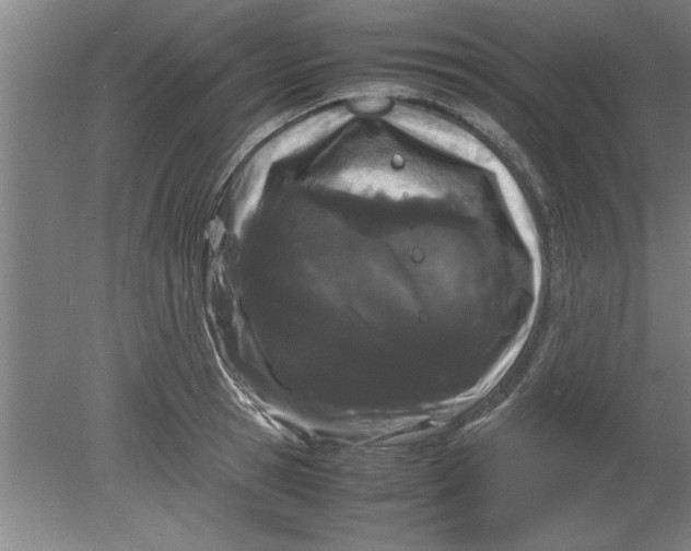 X0000080120945200612302007