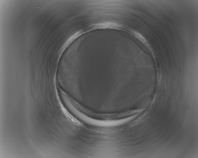 X0000080120946200612302007