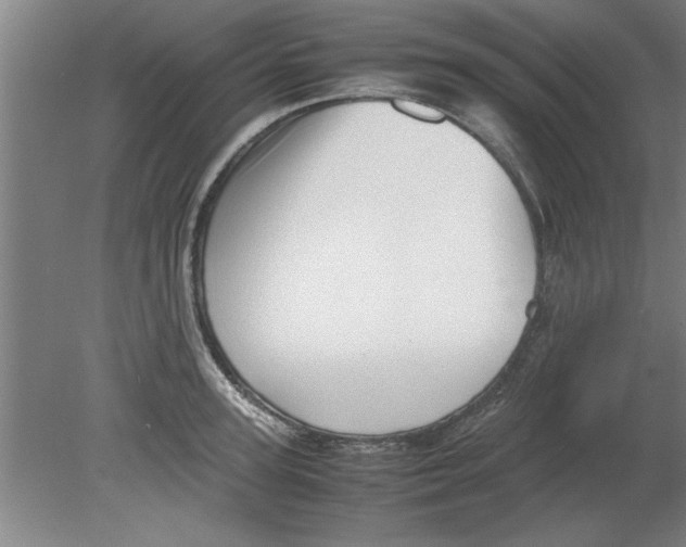 X0000080120947200612302007