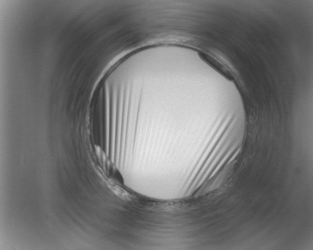 X0000080120948200612302007