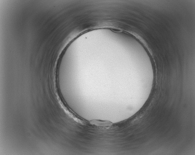 X0000080120949200612302007