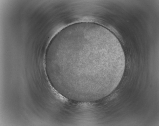 X0000080120950200612302007