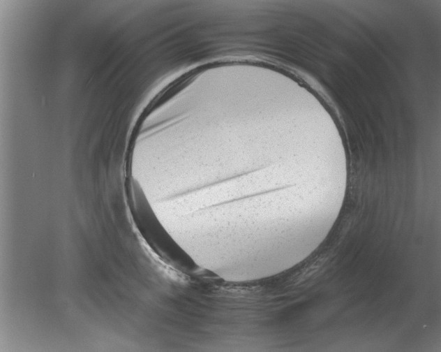 X0000080120951200612302007