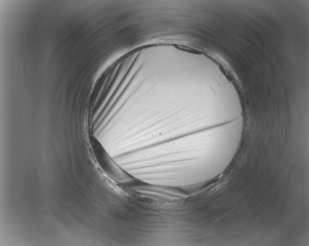 X0000080120952200612302007