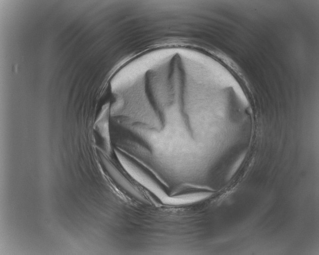 X0000080120953200612302007