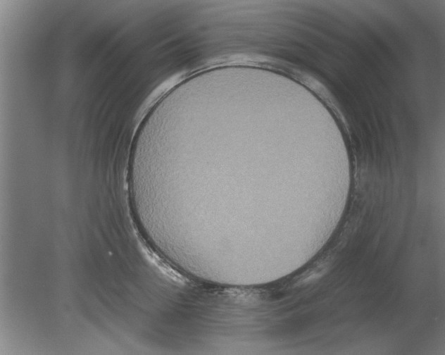 X0000080120954200612302007