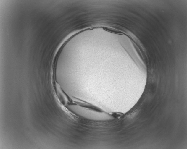 X0000080120955200612302007