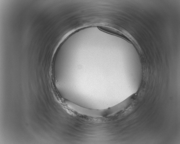 X0000080120956200612302007