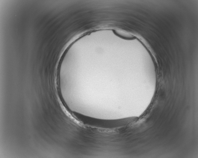 X0000080120957200612302007