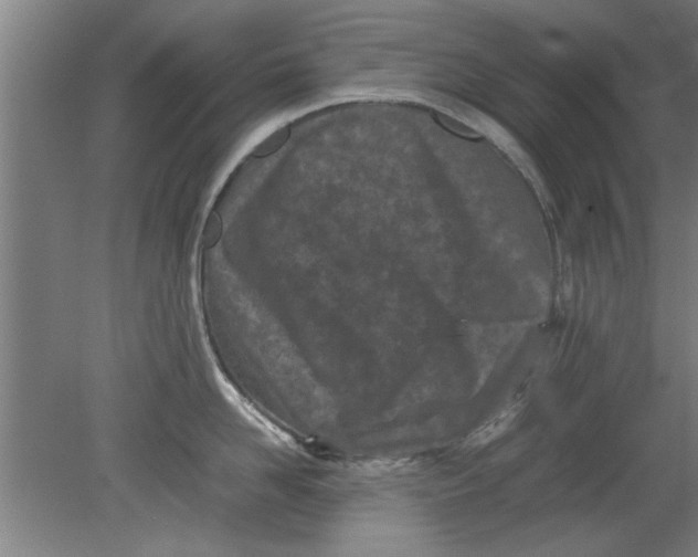 X0000080120958200612302007