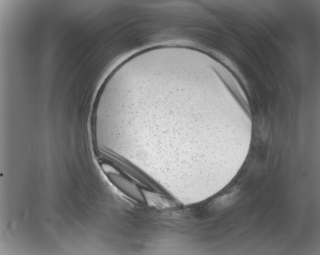 X0000080120959200612302007