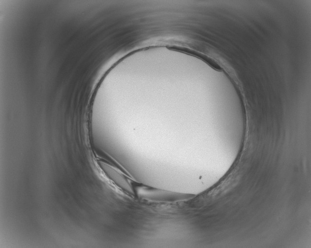 X0000080120960200612302007