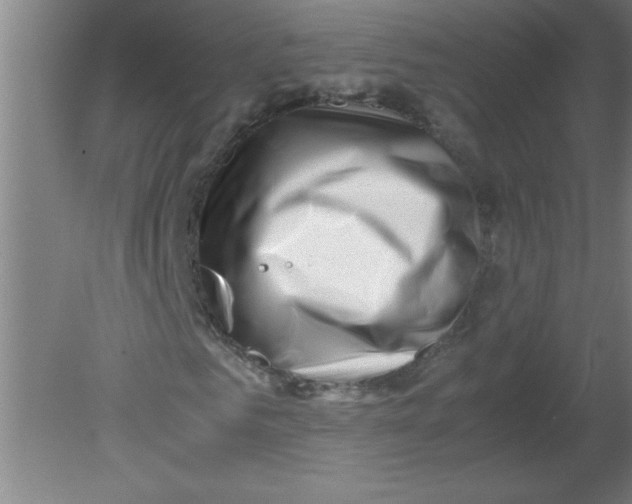 X0000080120961200612302006