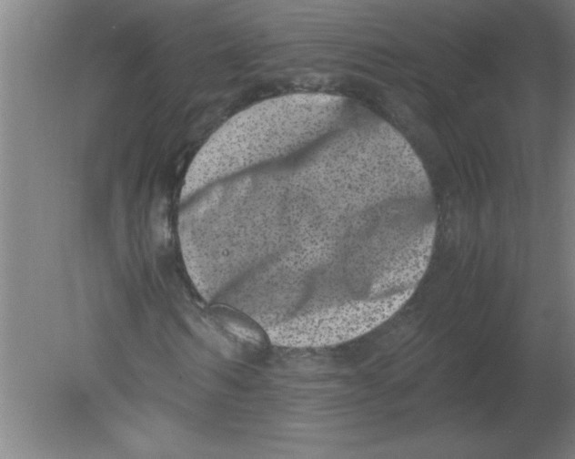 X0000080120962200612302006