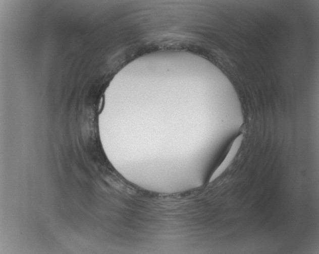 X0000080120964200612302006