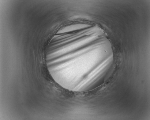 X0000080120965200612302006