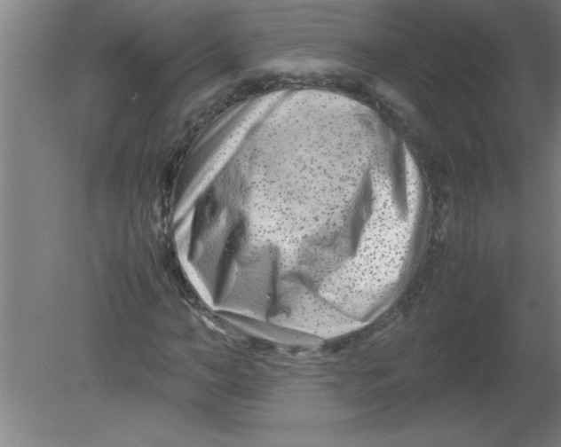 X0000080120966200612302006