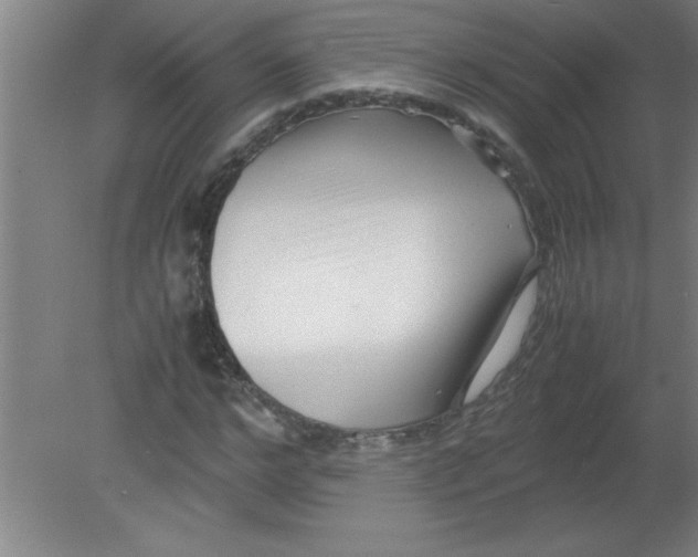 X0000080120968200612302006