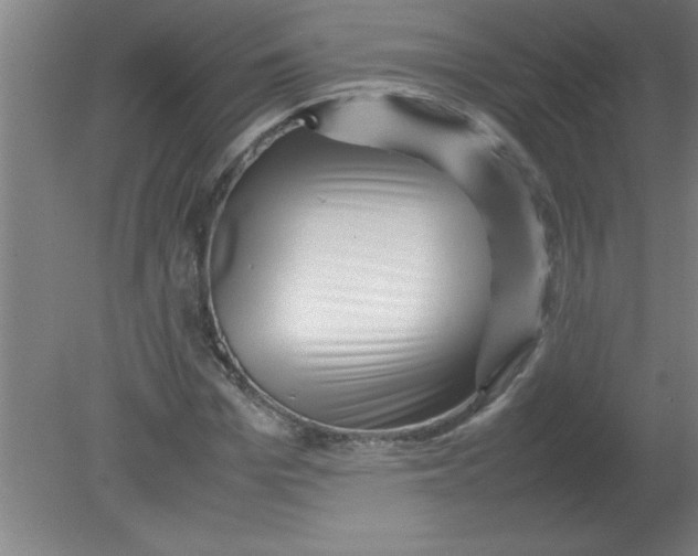 X0000080120969200612302006