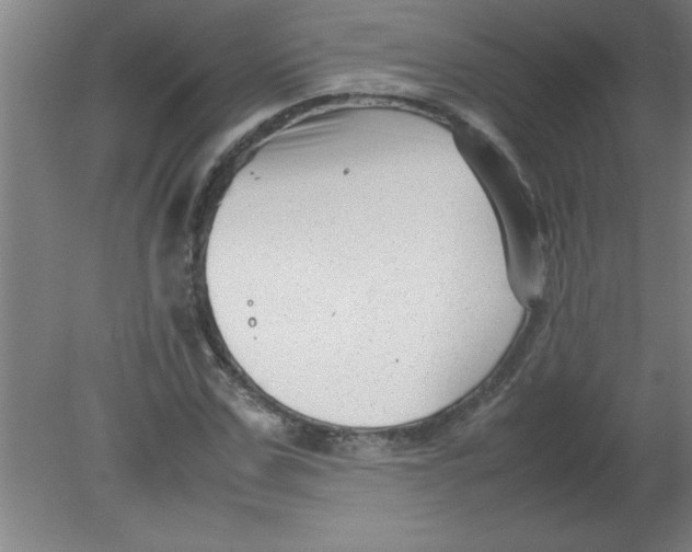 X0000080120971200612302006