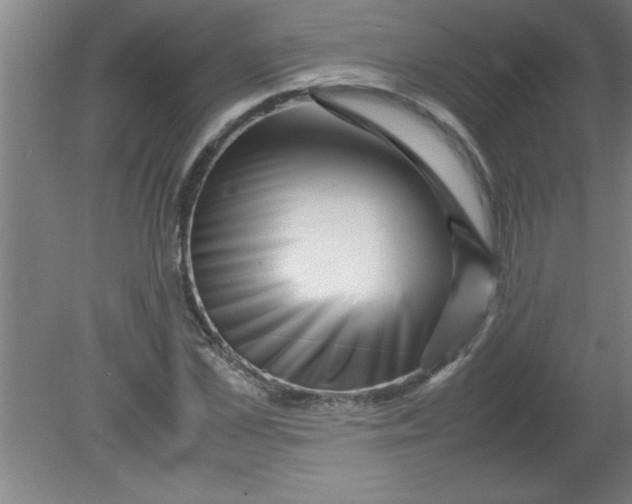 X0000080120973200612302006