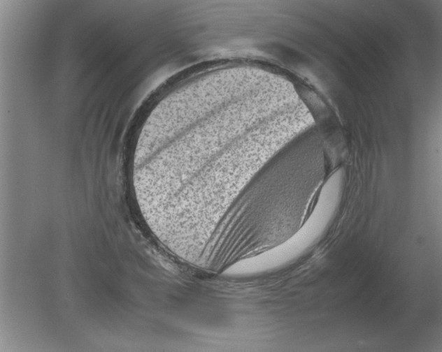 X0000080120975200612302006