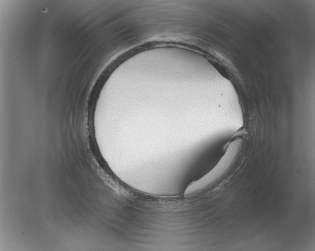 X0000080120976200612302006