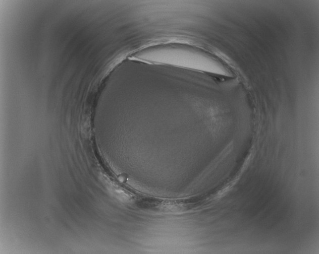 X0000080120977200612302006